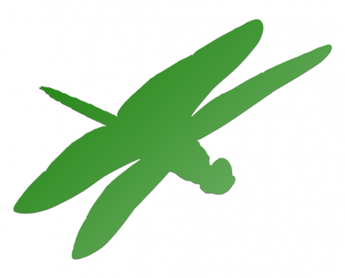 dragonfly logo