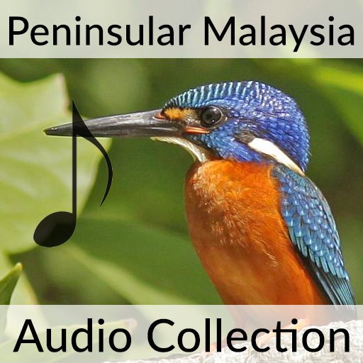 Birds of Peninsular Malaysia Sound Collection | BirdsEye Nature Apps