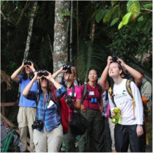 BirdsEye users in the Amazon