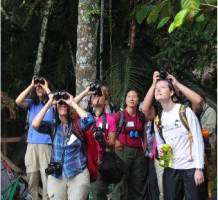 BirdsEye users in the Amazon