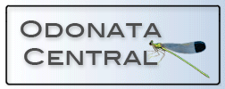 Odonoata_Central_logo