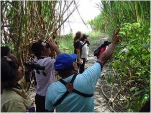 AmazonBirders2