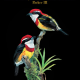 Birds of Peru cover