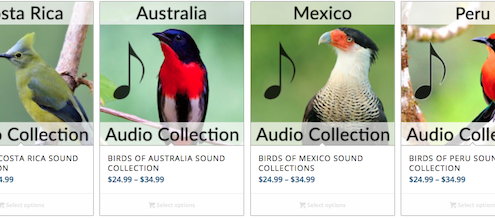 BirdsEye Audio Collections
