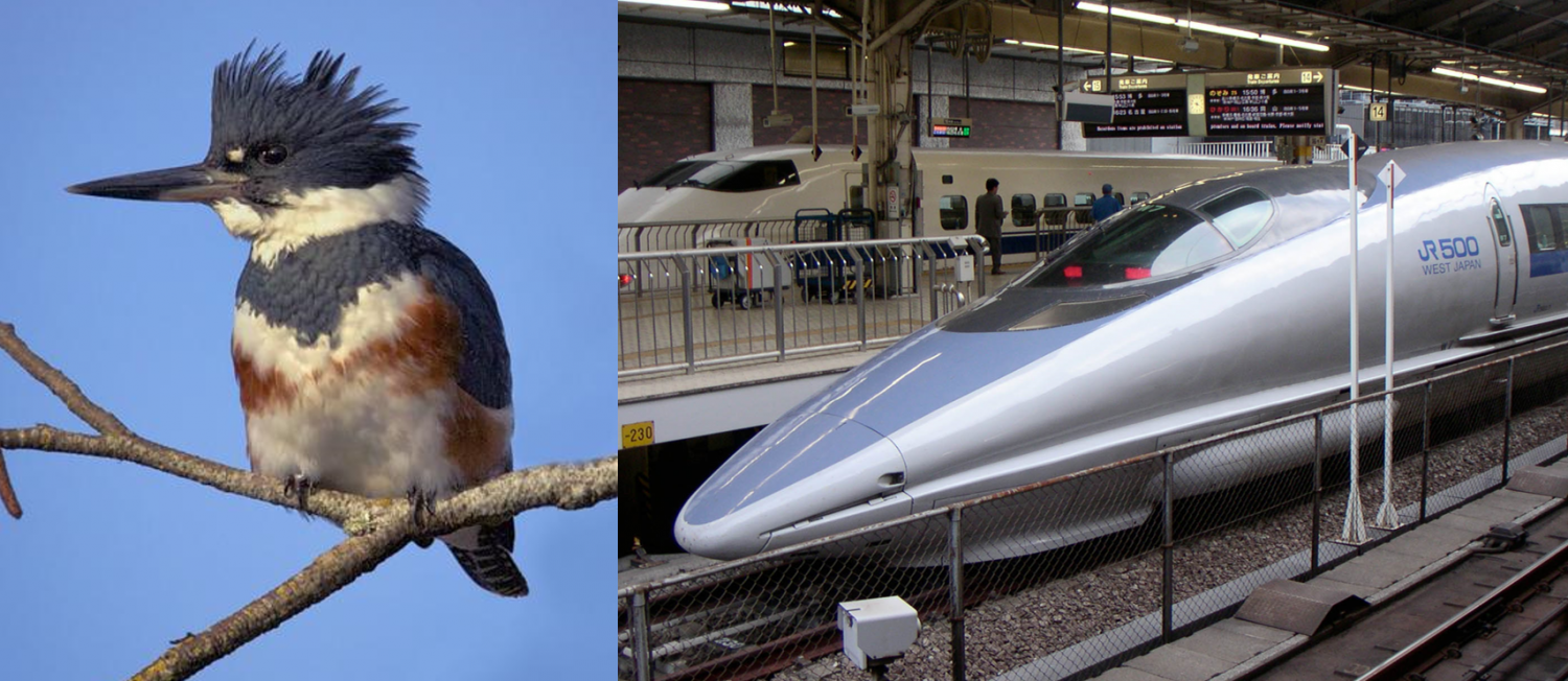 Biomimicry Emulating Birds & Nature BirdsEye Nature Apps