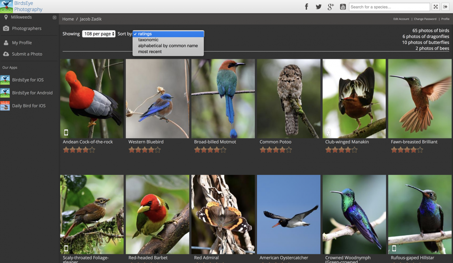 Tricks and Tips Archives BirdsEye Nature Apps